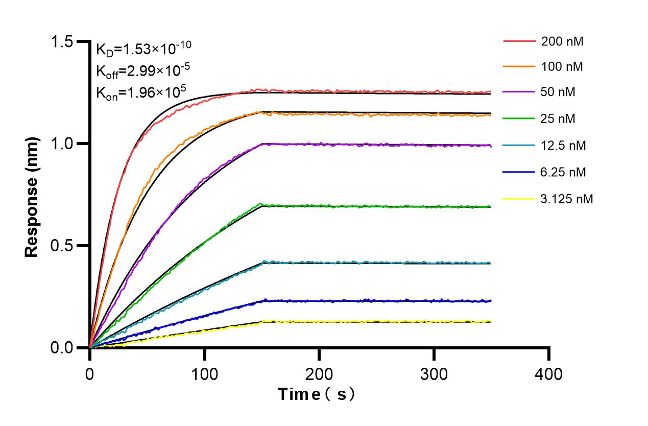 Affinity and Kinetic Characterization of 86459-2-RR