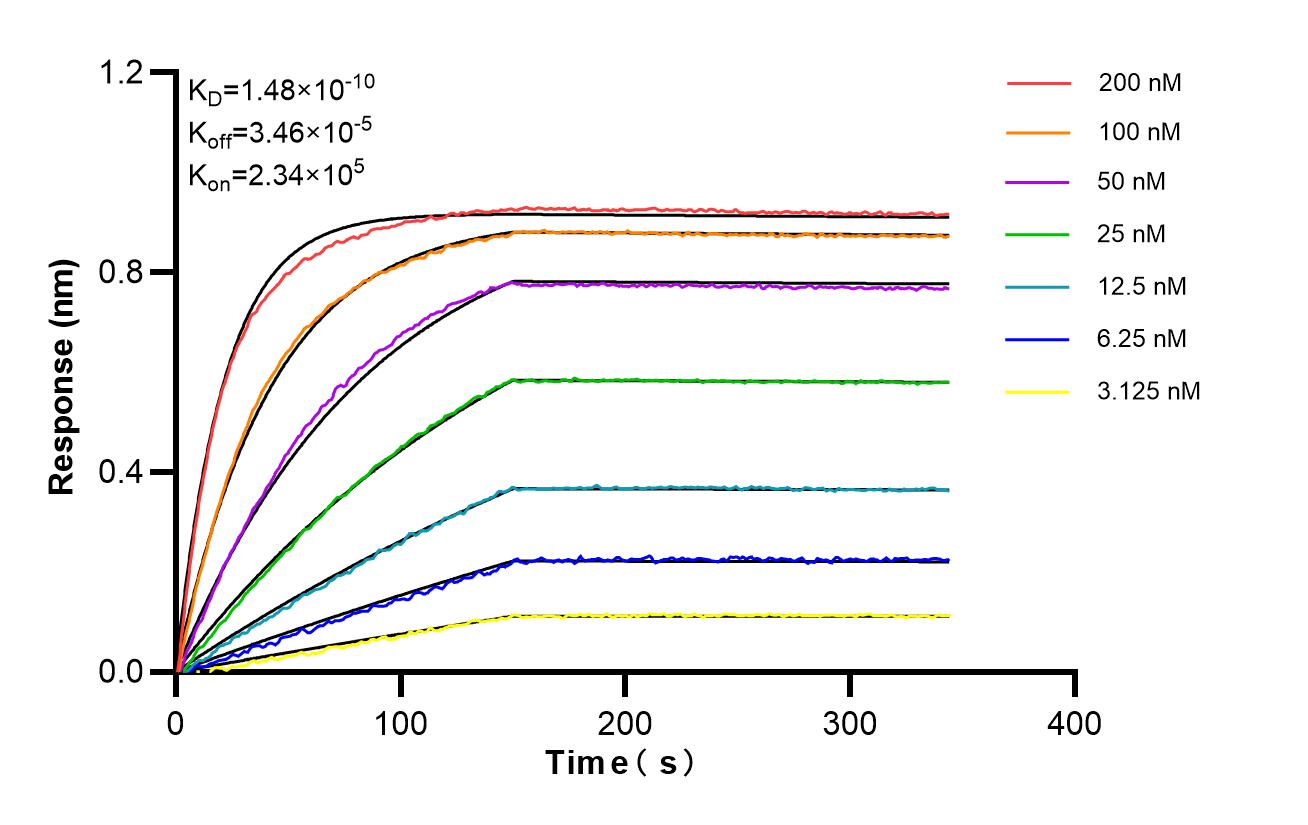 Biolayer interferometry (BLl) kinetic assays of <a class='green' href='/productredirect?CatalogNo=86474-3-RR' target='_blank'>86474-3-RR</a> against Human CHIMP6 were performed. The affinity constant is 0.148 nM. Affinity of 86474-3-RR