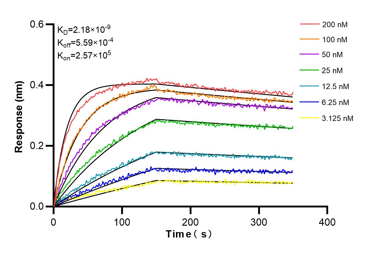 Affinity and Kinetic Characterization of 86508-3-RR