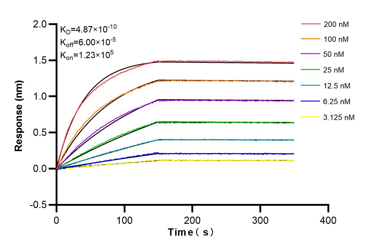 Affinity and Kinetic Characterization of 86513-3-RR