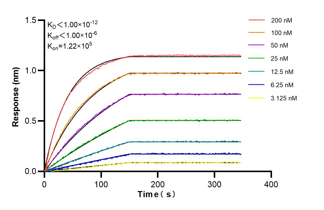 Affinity and Kinetic Characterization of 86529-2-RR