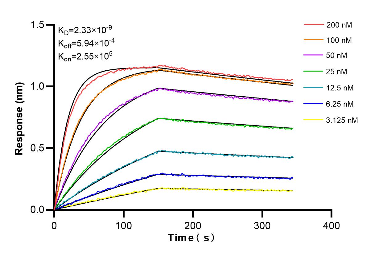 Affinity and Kinetic Characterization of 86530-1-RR