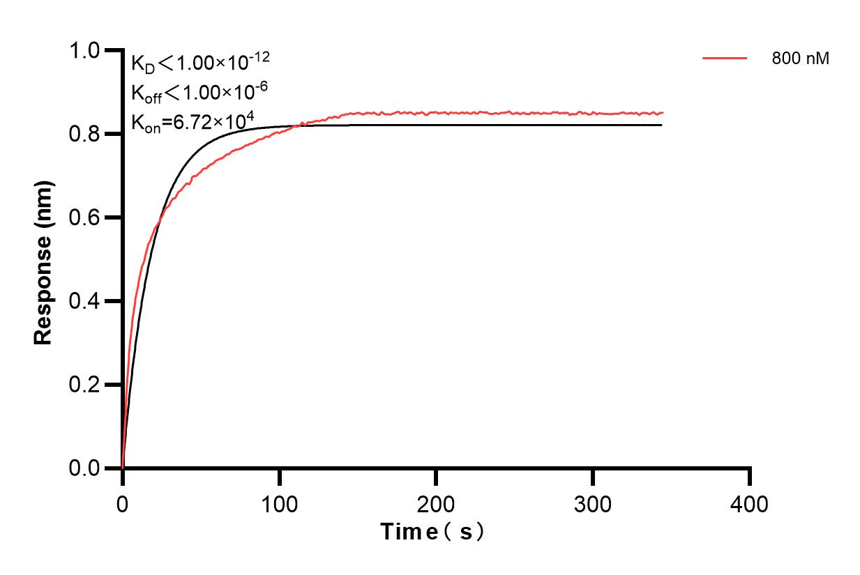 Affinity of 86539-2-PBS