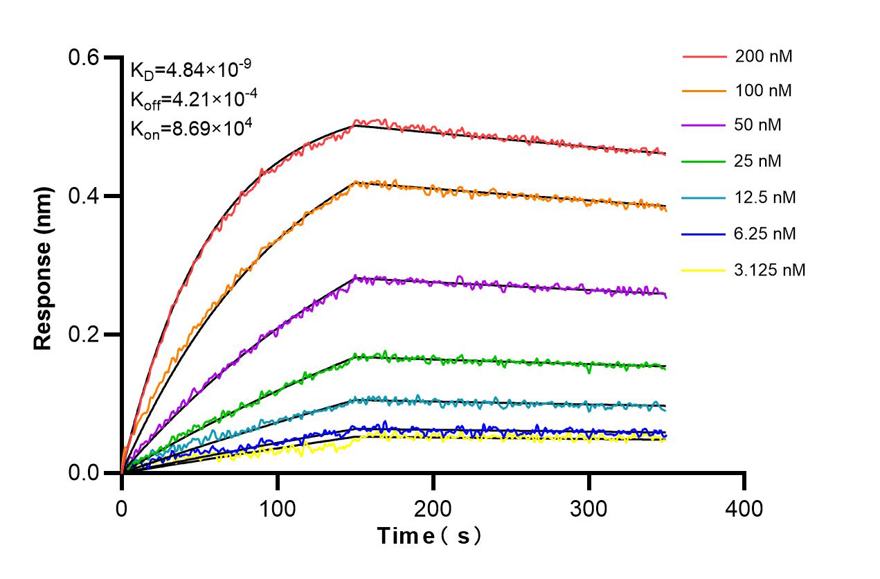 Affinity and Kinetic Characterization of 86540-5-RR Affinity and Kinetic Characterization of 86540-5-RR