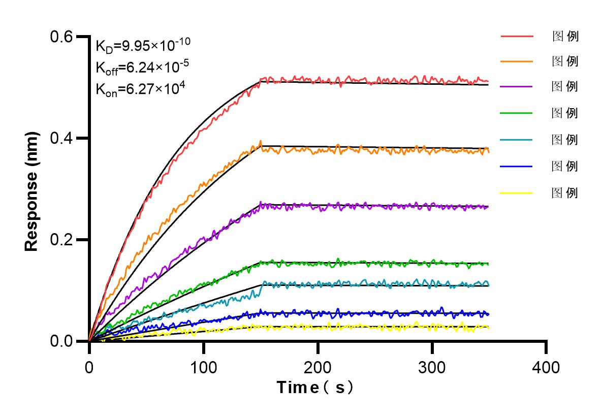 Affinity and Kinetic Characterization of 86549-1-RR