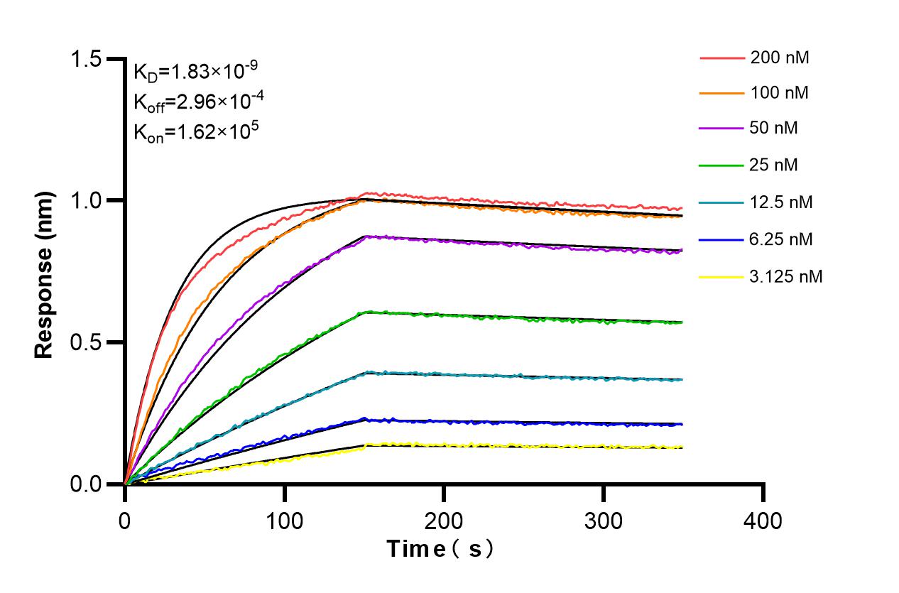 Affinity and Kinetic Characterization of 86550-3-RR
