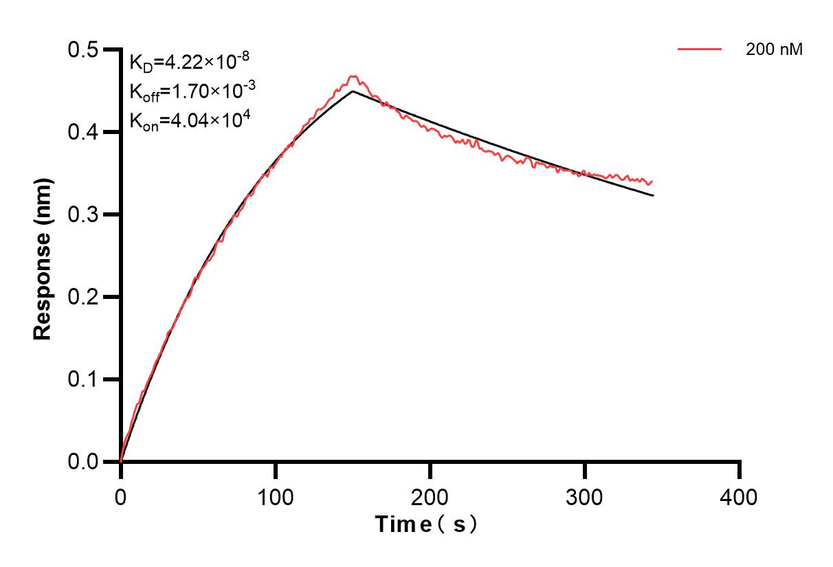 Biolayer interferometry (BLl) kinetic assay of 86551-1-PBS against Human UBE2V2 was performed. The affinity constant is 42.2 nM. Affinity of 86551-1-PBS