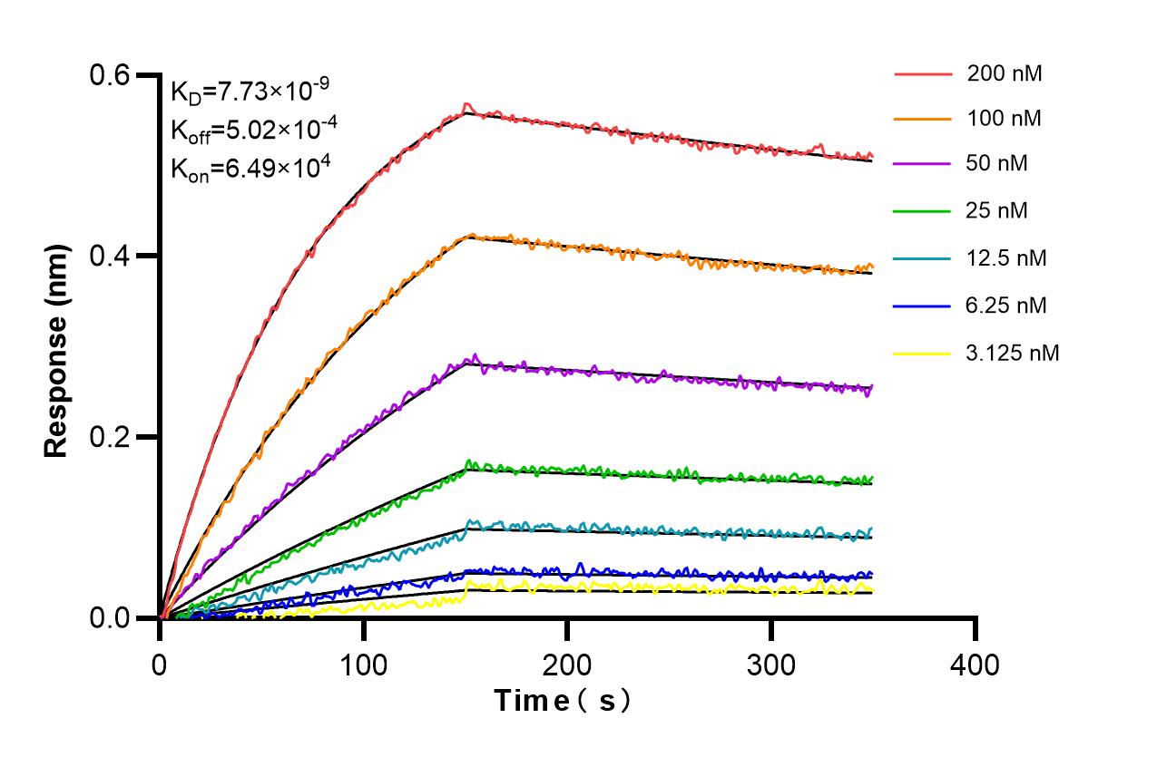 Affinity and Kinetic Characterization of 86581-1-RR