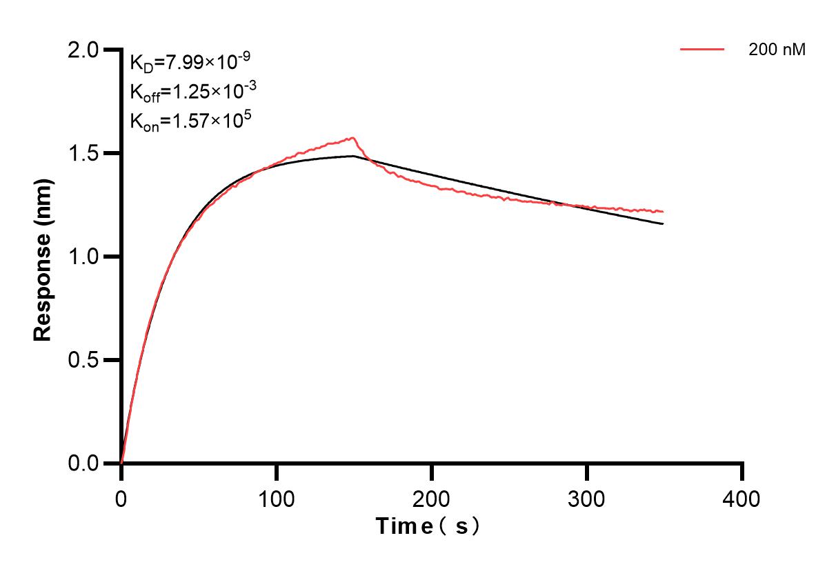 Biolayer interferometry (BLl) kinetic assay of 86588-1-PBS against Human FCGR2A was performed. The affinity constant is 7.99 nM. Affinity and Kinetic Characterization of 86588-1-PBS