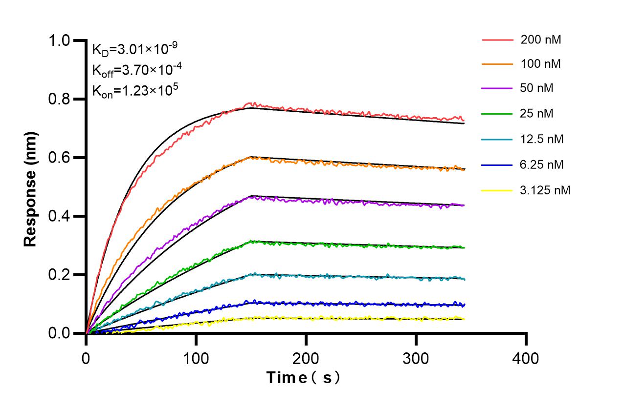 Affinity and Kinetic Characterization of 86599-1-RR Affinity and Kinetic Characterization of 86599-1-RR