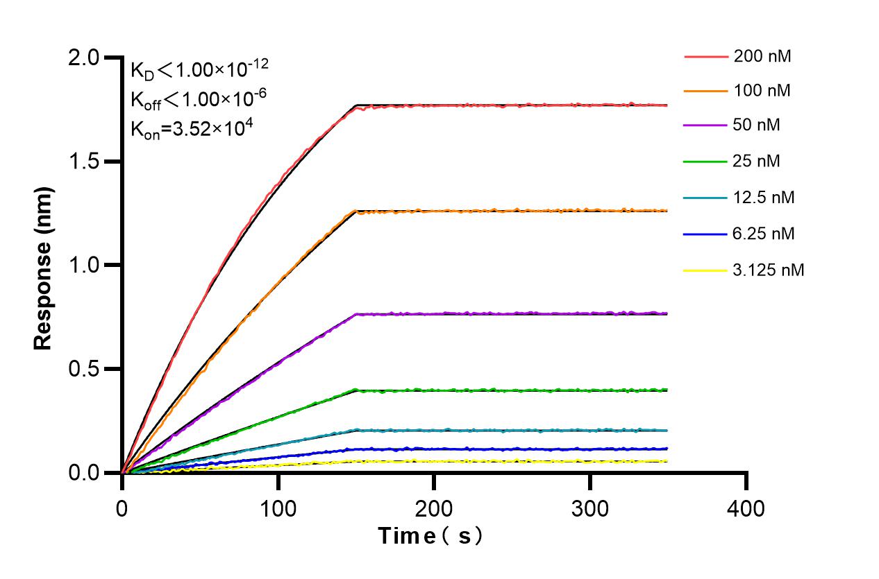 Affinity and Kinetic Characterization of 86600-3-RR