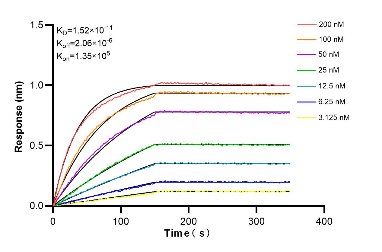 Affinity and Kinetic Characterization of 86601-3-RR