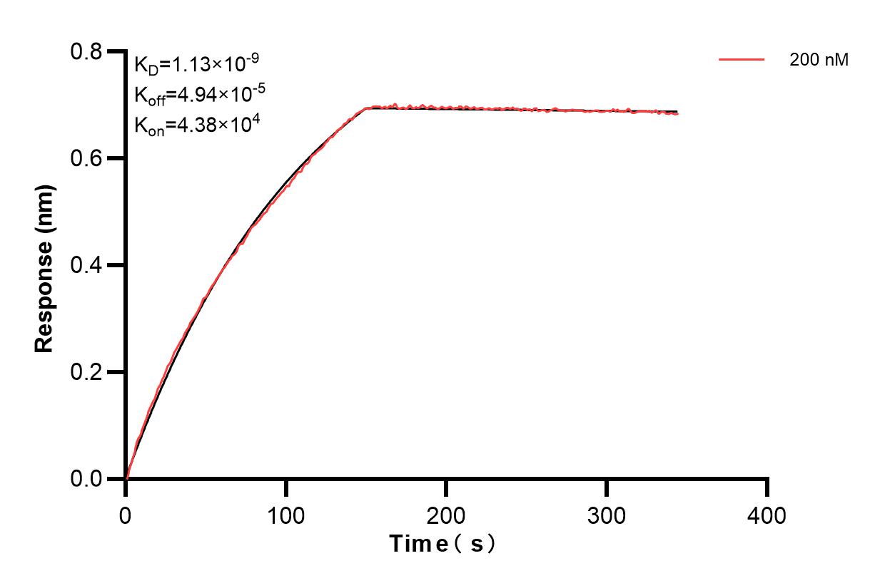 Affinity of 86608-2-PBS