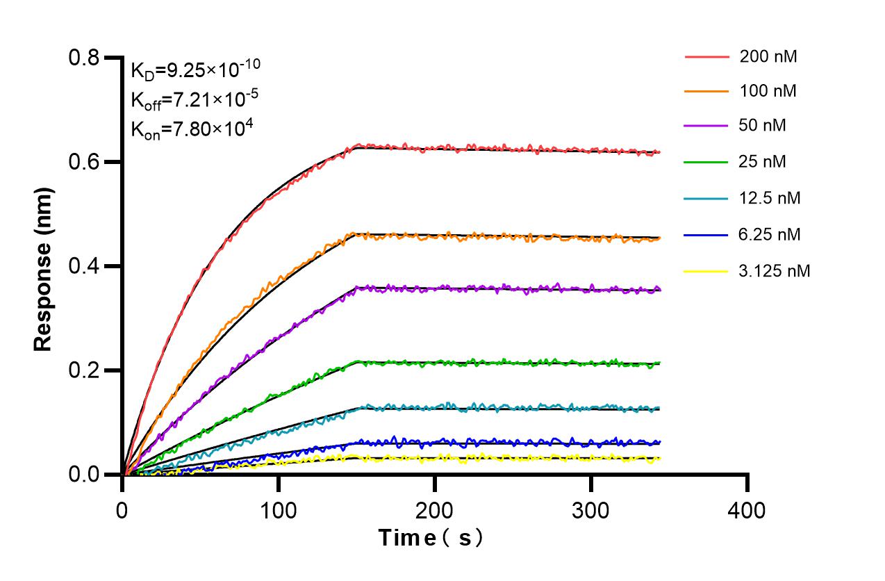 Affinity and Kinetic Characterization of 86610-2-RR