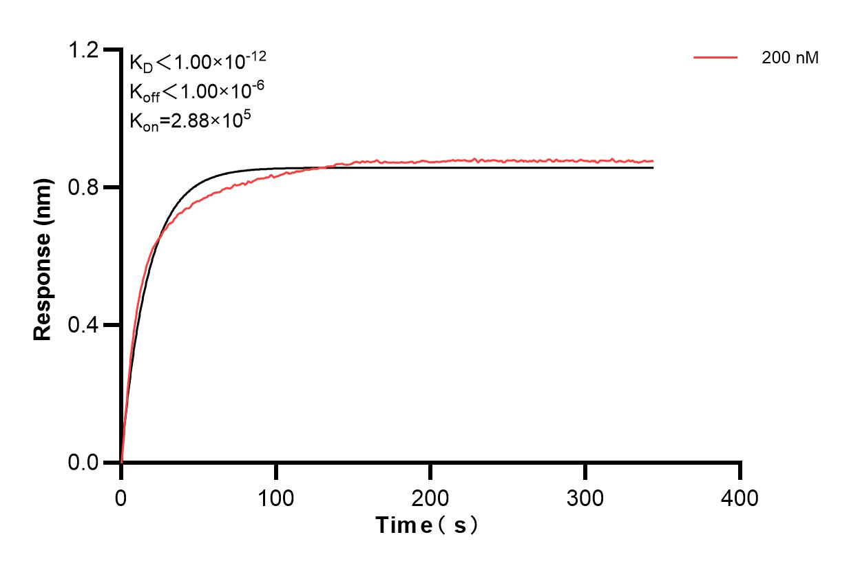 Affinity of 86611-2-PBS