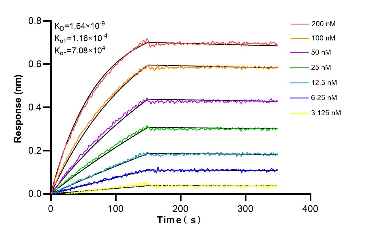 Affinity and Kinetic Characterization of 86618-3-RR