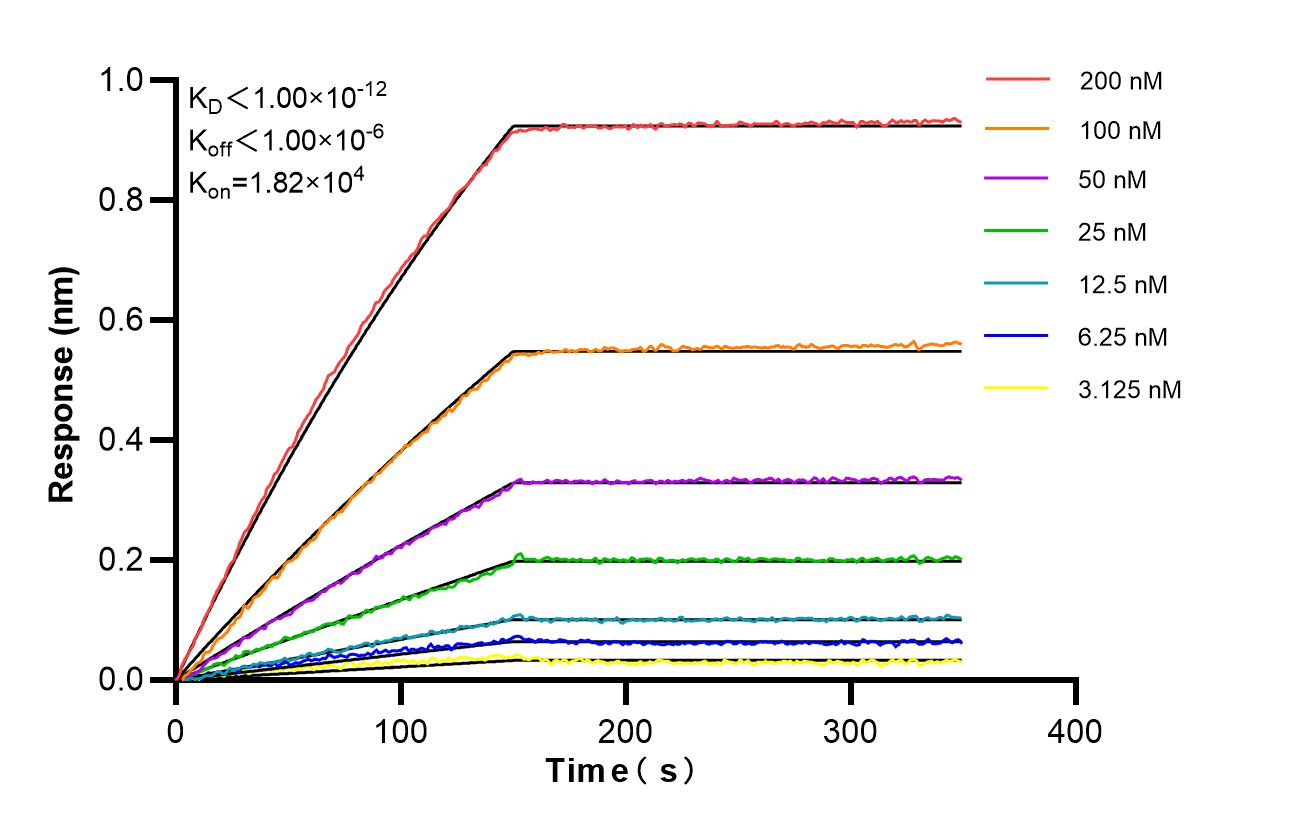 Affinity and Kinetic Characterization of 86650-2-RR Affinity and Kinetic Characterization of 86650-2-RR