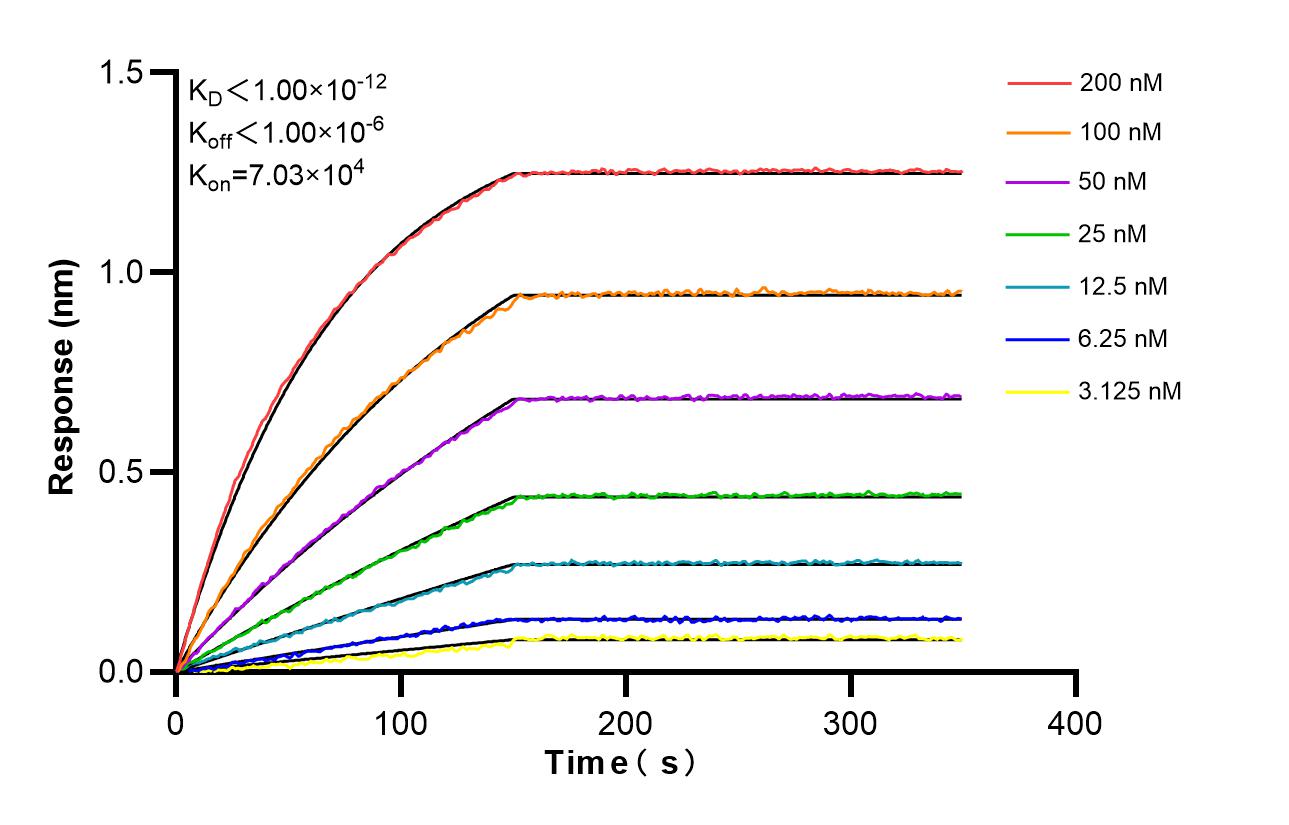 Affinity and Kinetic Characterization of 86651-1-RR