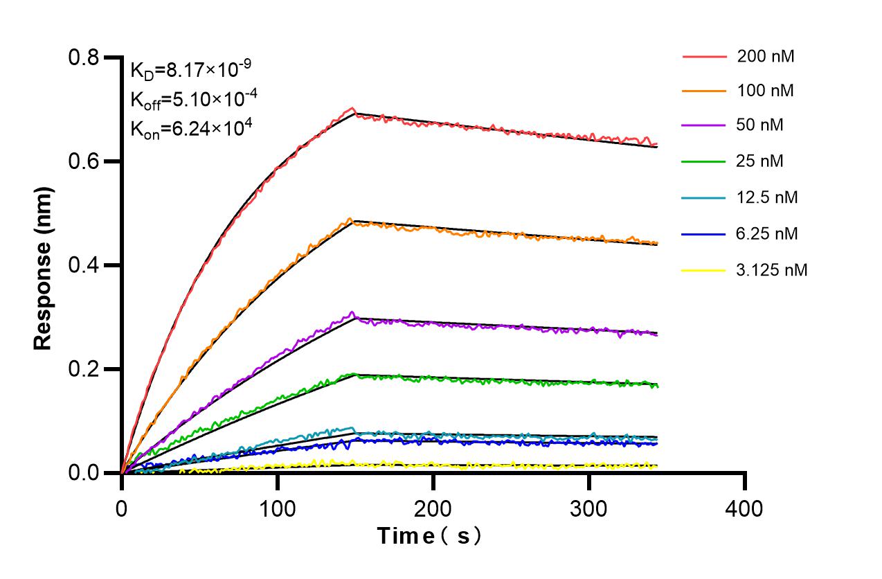 Affinity and Kinetic Characterization of 86673-1-RR Affinity and Kinetic Characterization of 86673-1-RR