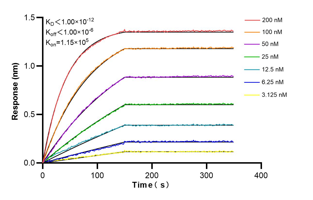 Biolayer interferometry (BLl) kinetic assays of 86676-1-RR against Human NDUFS3 were performed. The affinity constant is below 1 pM. Affinity and Kinetic Characterization of 86676-1-RR