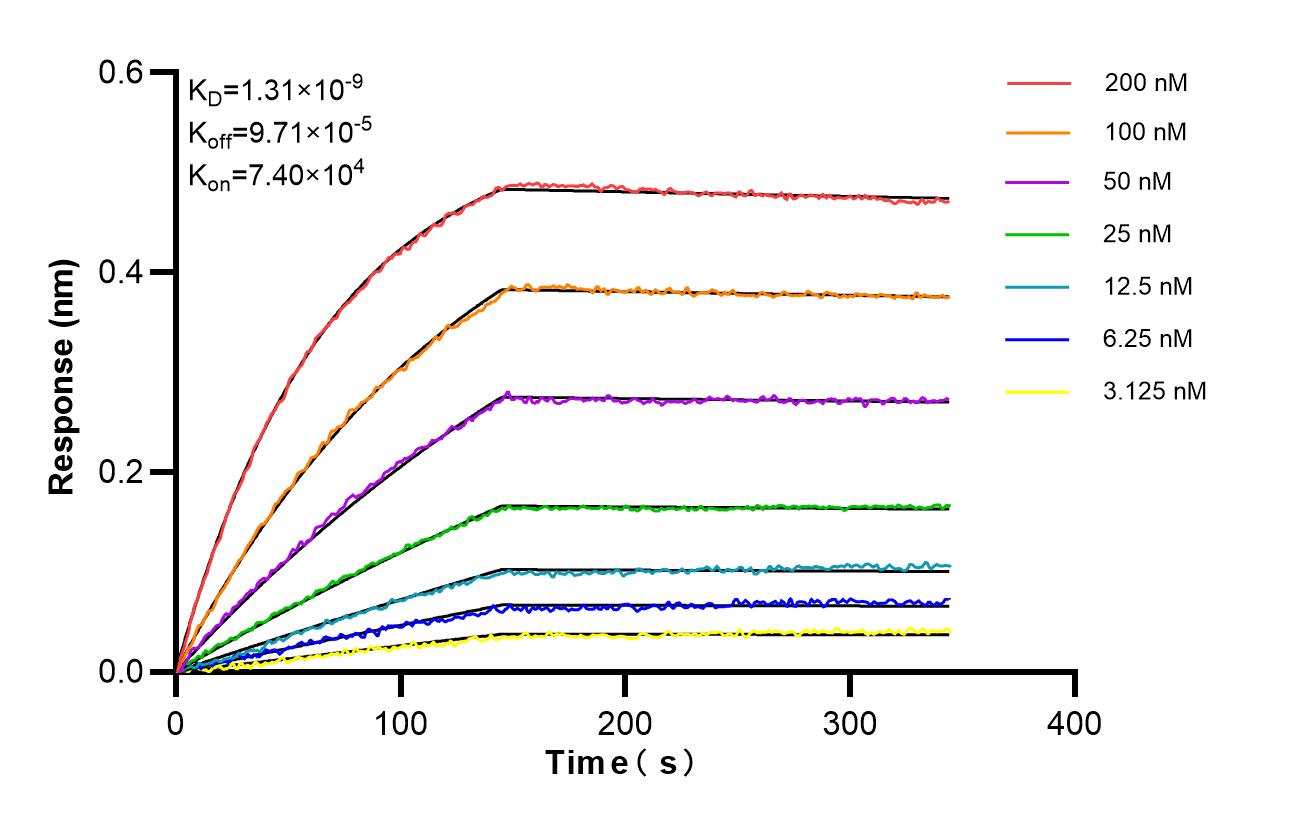Affinity and Kinetic Characterization of 86678-1-PBS