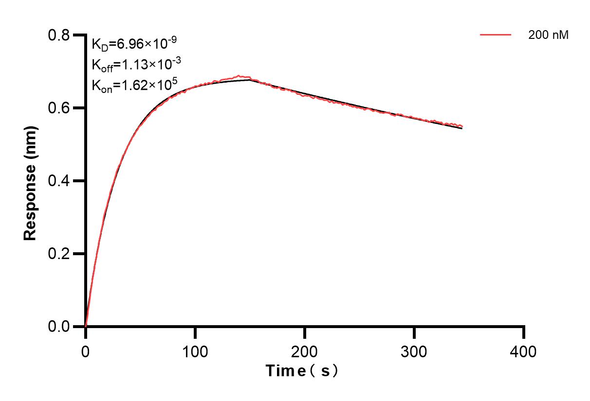 Affinity and Kinetic Characterization of 86678-2-PBS Affinity and Kinetic Characterization of 86678-2-PBS