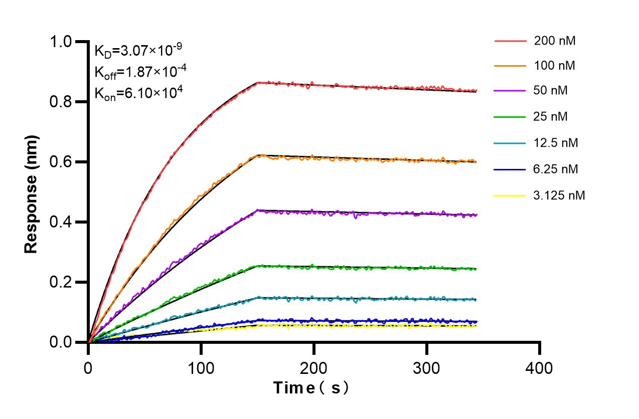 Affinity and Kinetic Characterization of 86690-1-RR Affinity and Kinetic Characterization of 86690-1-RR
