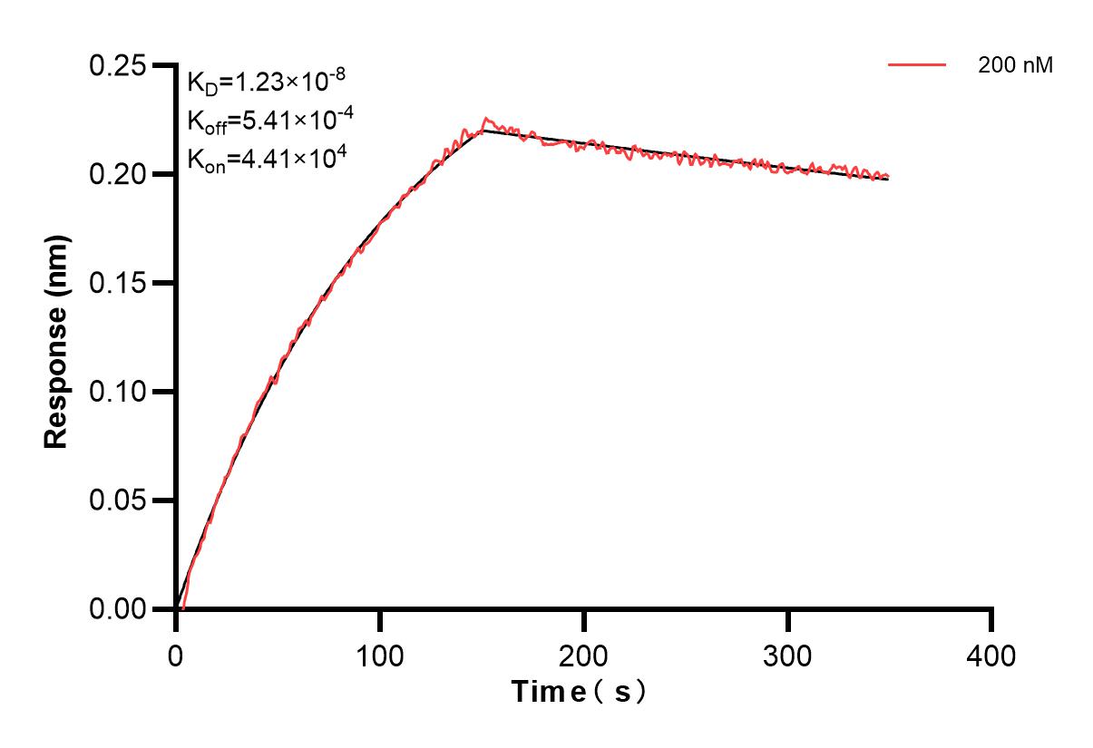Biolayer interferometry (BLl) kinetic assay of 86692-3-PBS against Human NTRK3 was performed. The affinity constant is 12.3 nM. Affinity of 86692-3-PBS