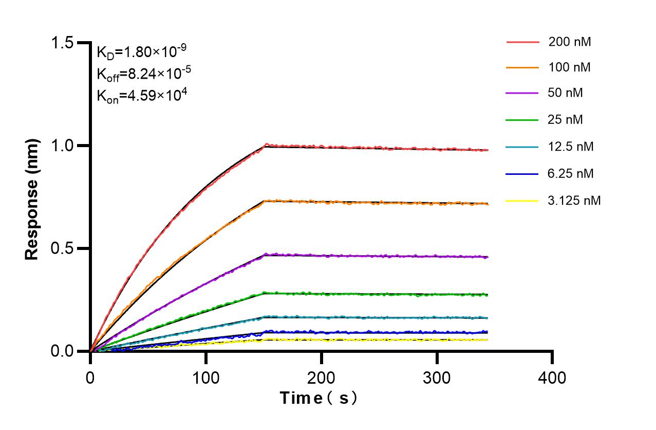 Affinity and Kinetic Characterization of 86693-2-RR Affinity and Kinetic Characterization of 86693-2-RR