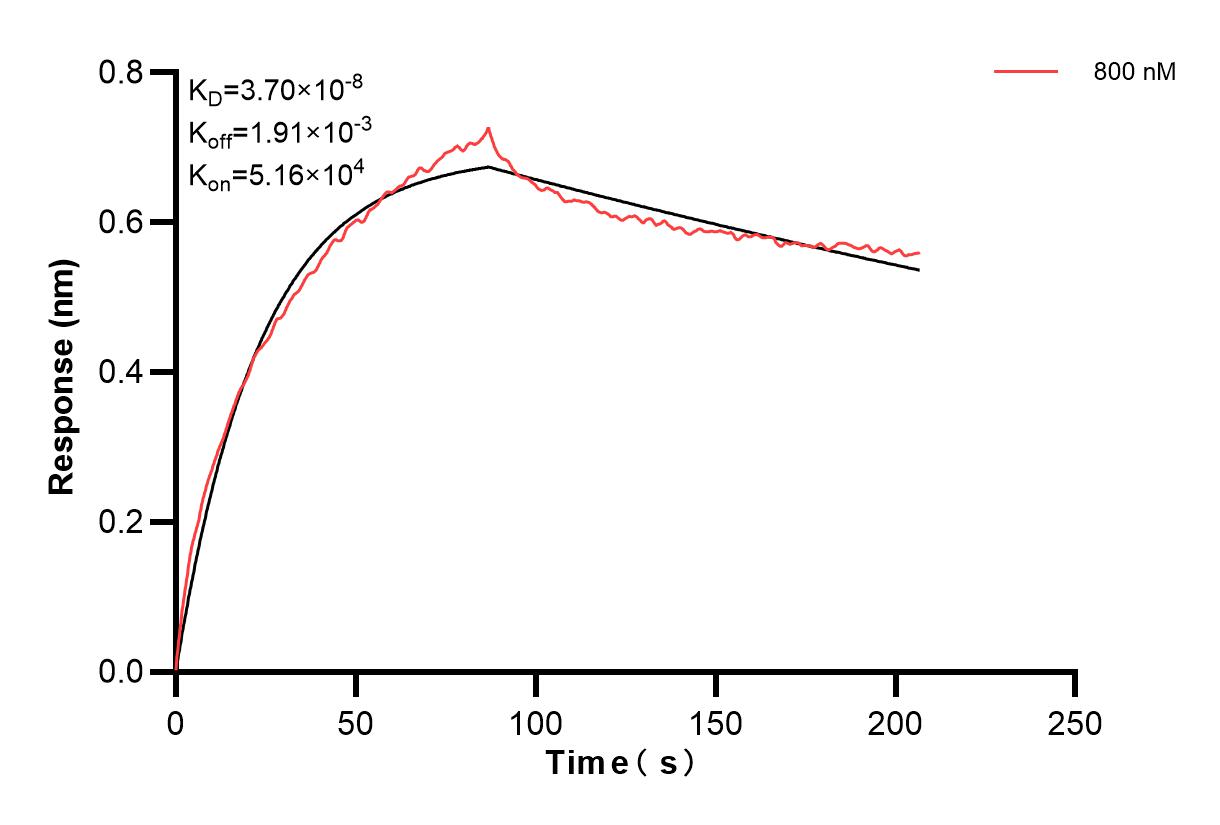Affinity and Kinetic Characterization of 86702-2-PBS Affinity and Kinetic Characterization of 86702-2-PBS