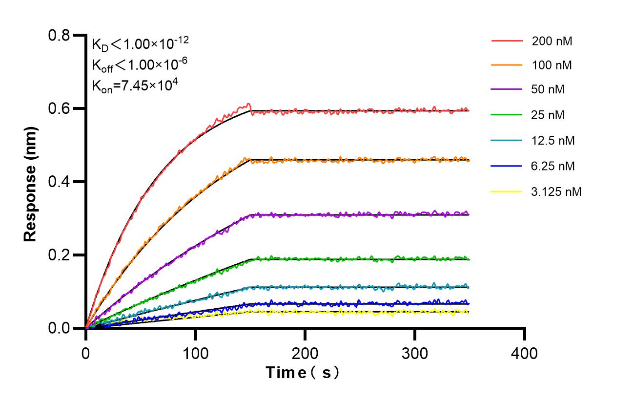 Affinity and Kinetic Characterization of 86704-1-RR