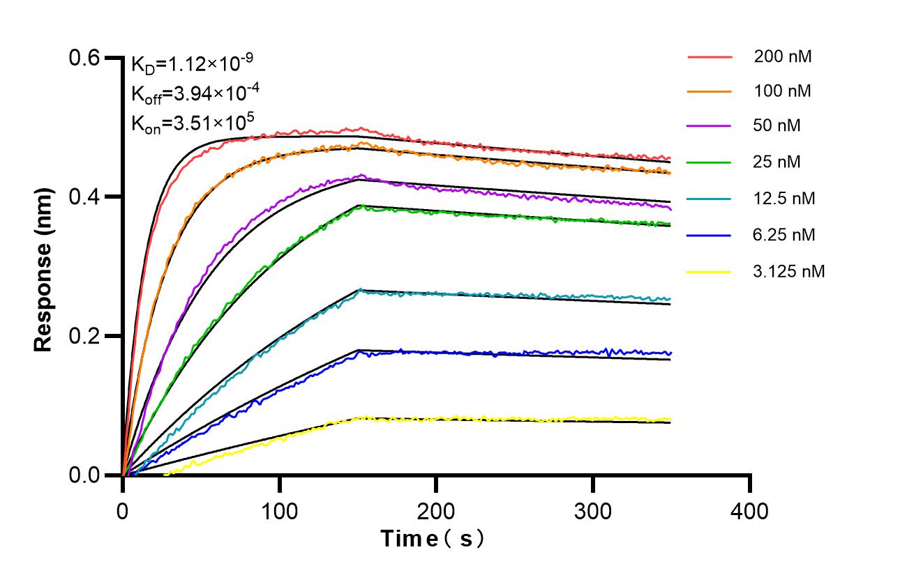 Affinity of 86714-3-RR