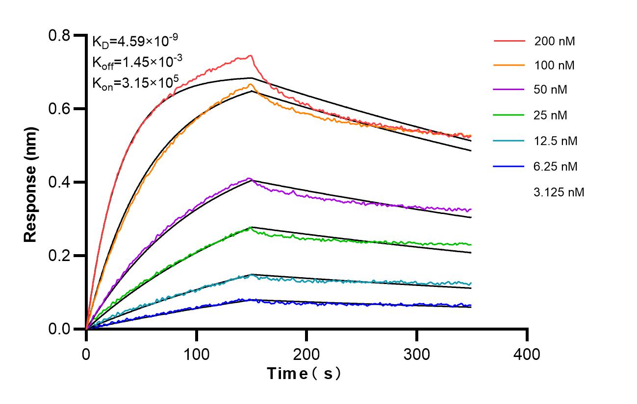 Affinity and Kinetic Characterization of 86715-1-RR