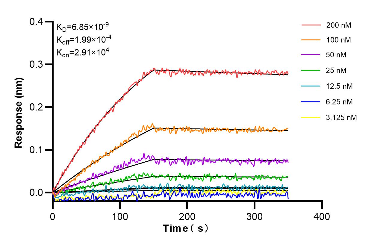 Affinity and Kinetic Characterization of 86722-1-RR