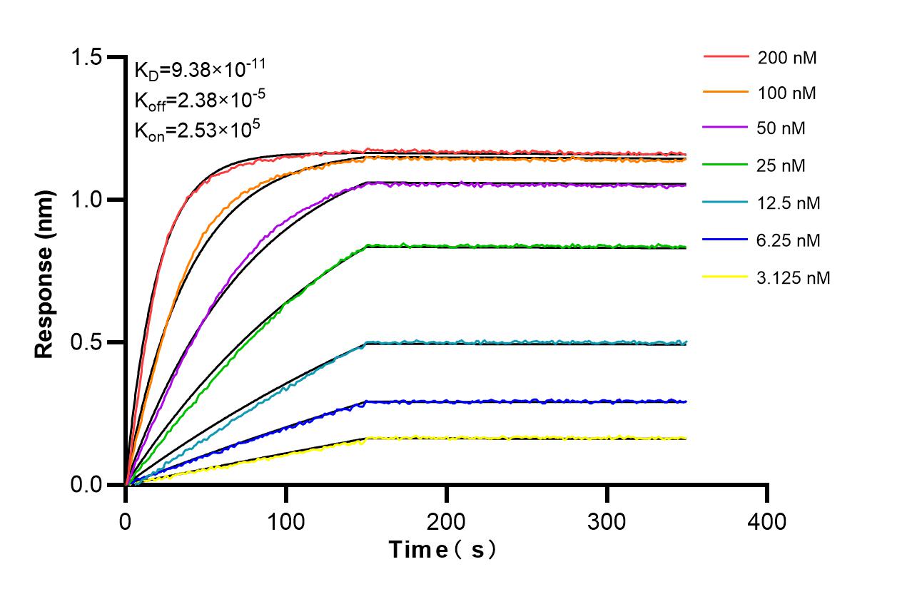 Affinity and Kinetic Characterization of 86723-1-RR