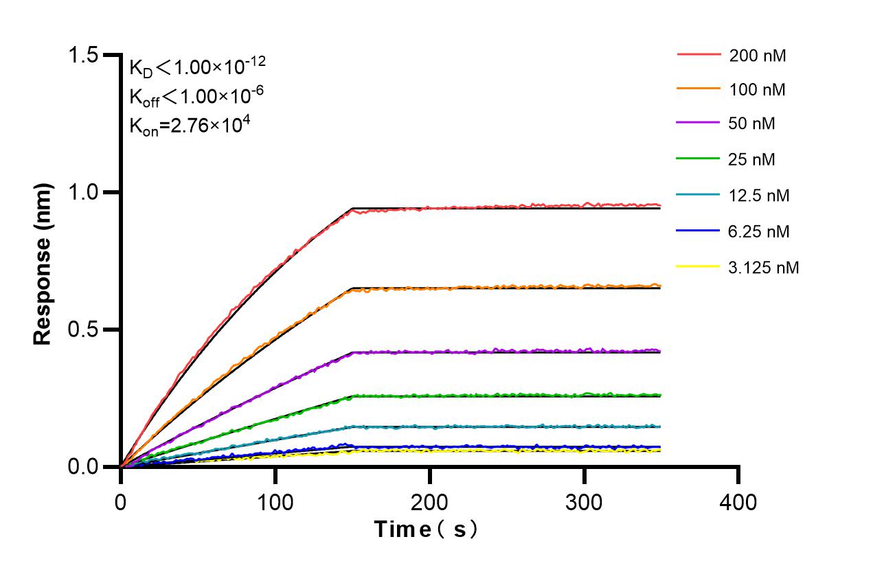 Affinity and Kinetic Characterization of 86737-3-RR Affinity and Kinetic Characterization of 86737-3-RR