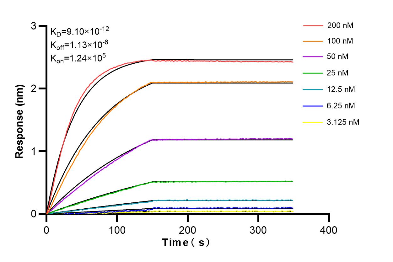 Affinity and Kinetic Characterization of 86747-1-RR