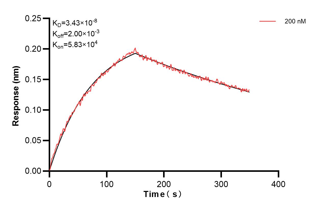 Affinity of 86781-2-PBS