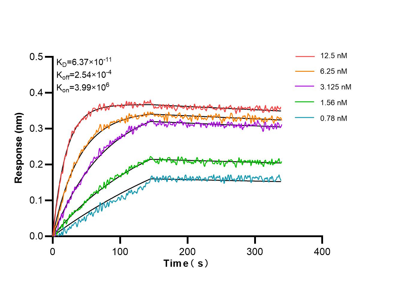 Affinity and Kinetic Characterization of 86781-3-RR Affinity and Kinetic Characterization of 86781-3-RR