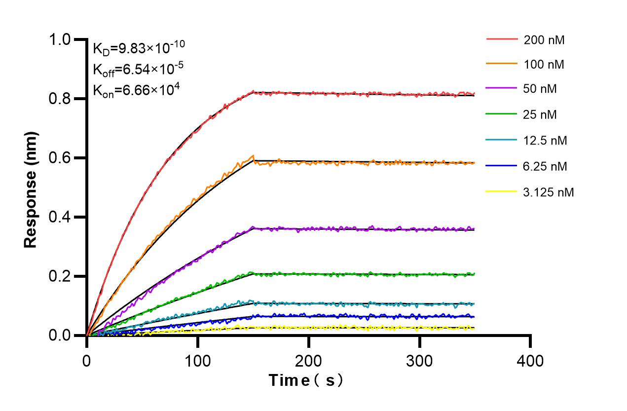 Affinity and Kinetic Characterization of 86793-1-RR