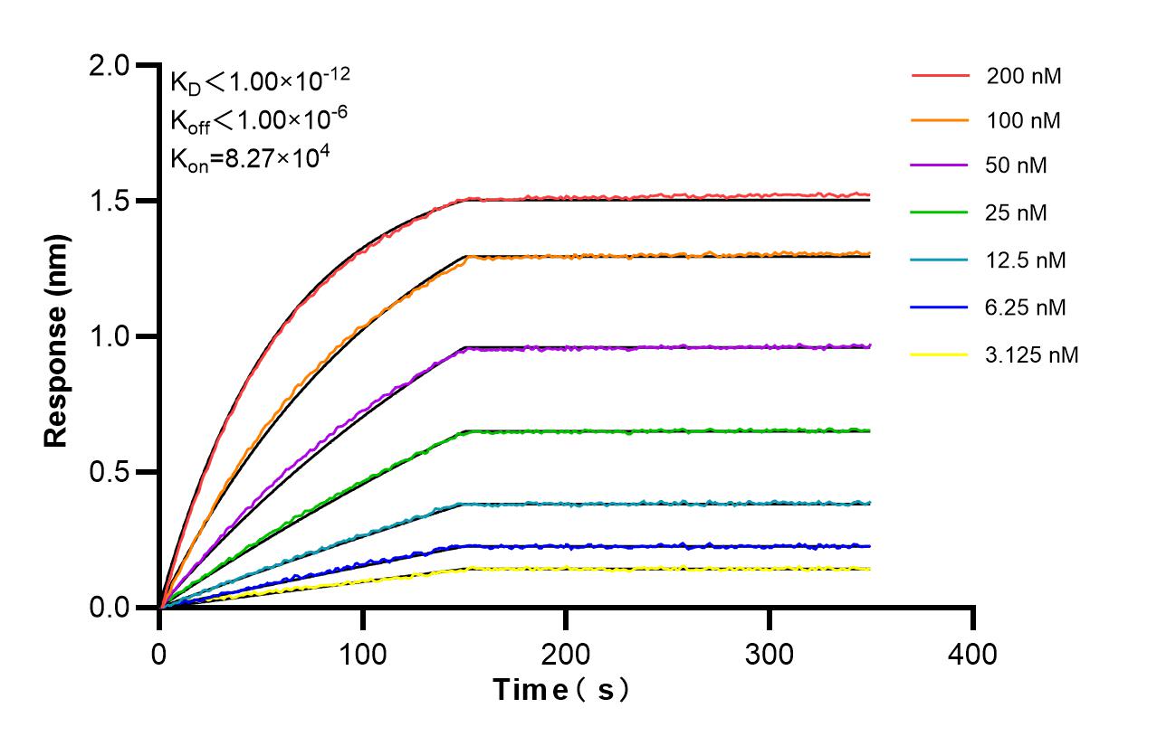 Affinity and Kinetic Characterization of 86795-1-RR