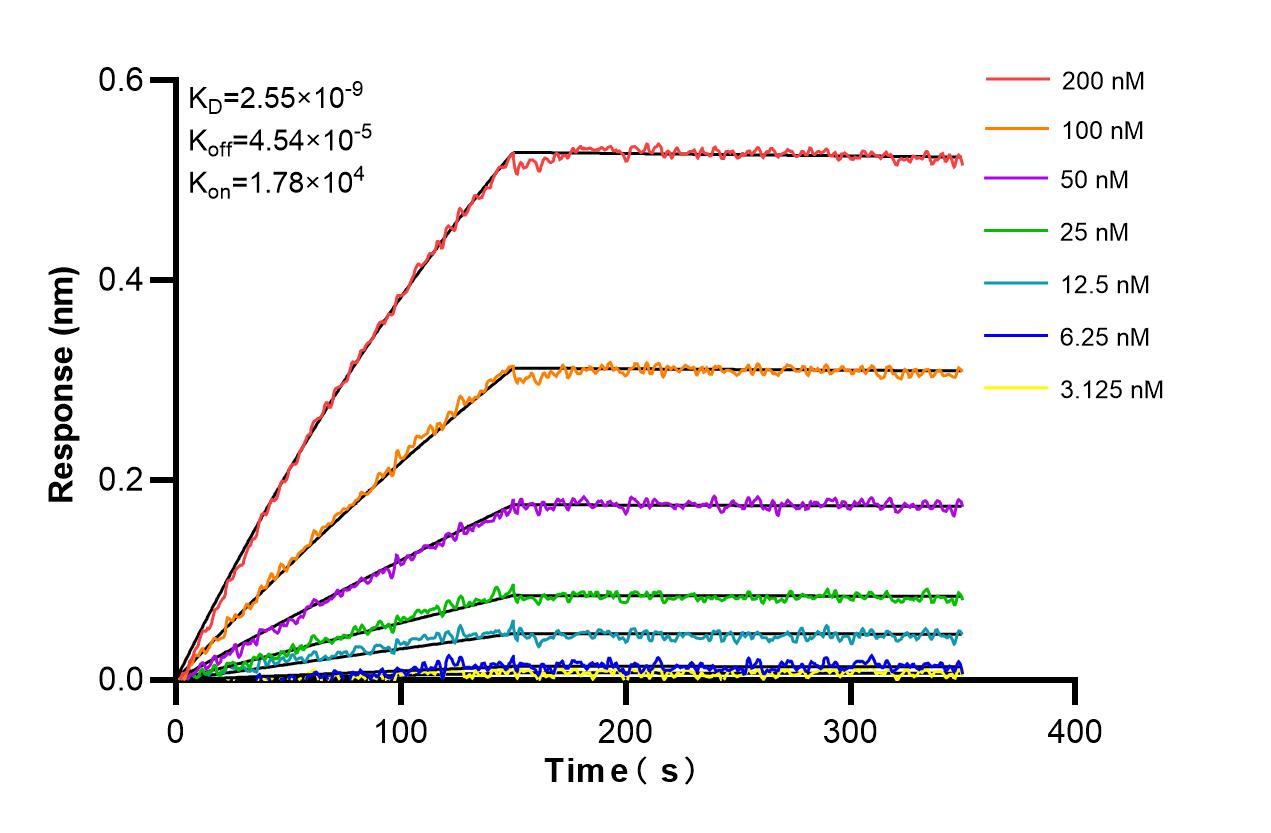 Affinity and Kinetic Characterization of 86807-1-RR