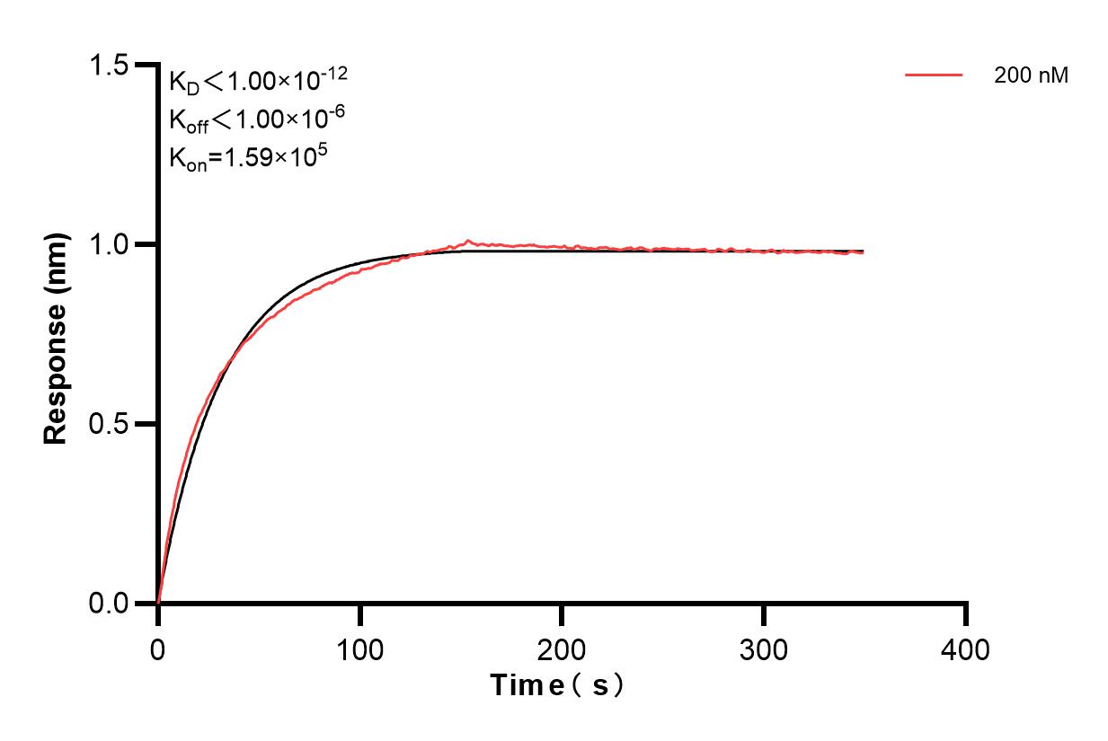 Affinity of 86810-2-PBS