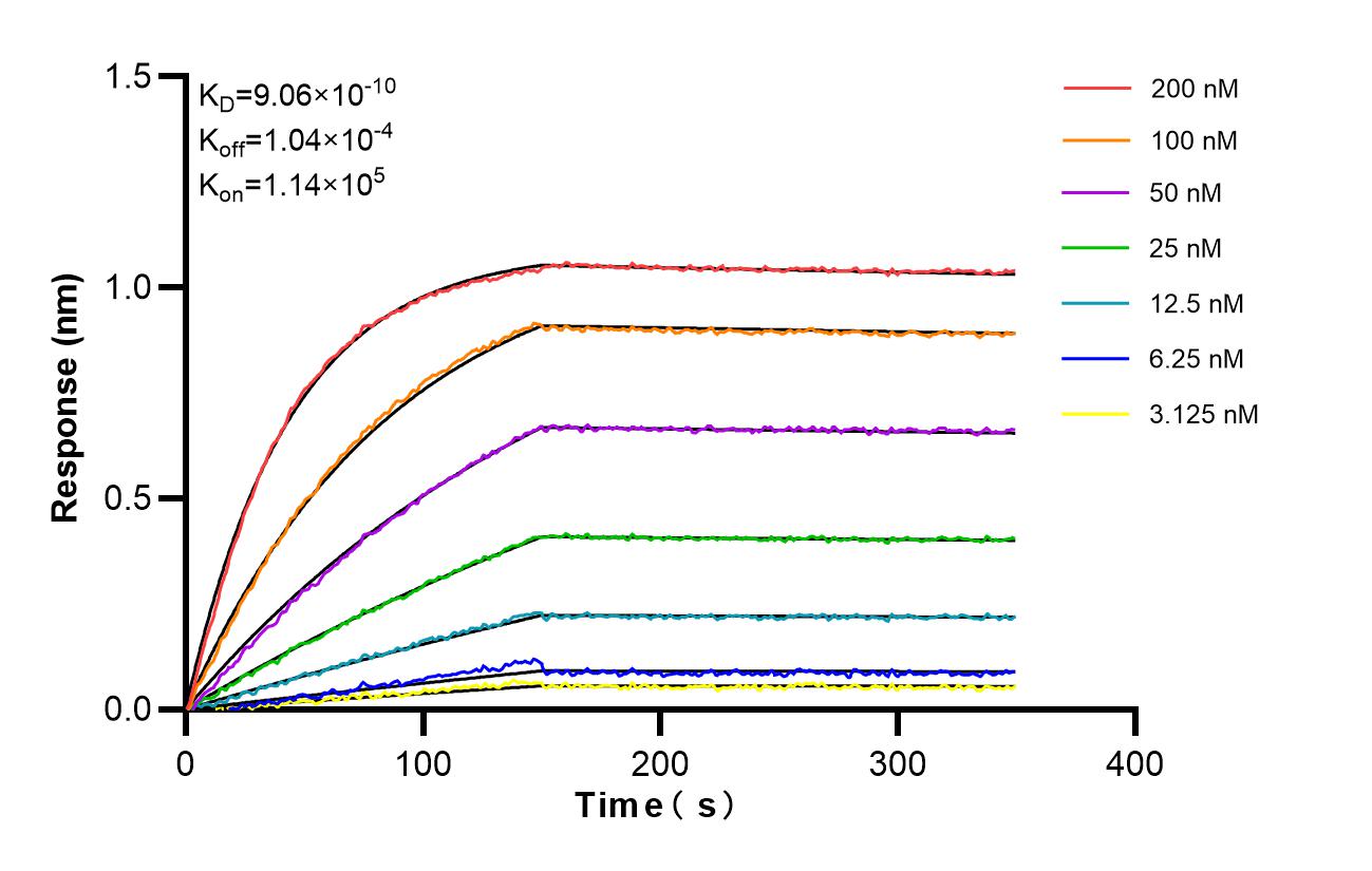 Affinity and Kinetic Characterization of 86832-2-RR