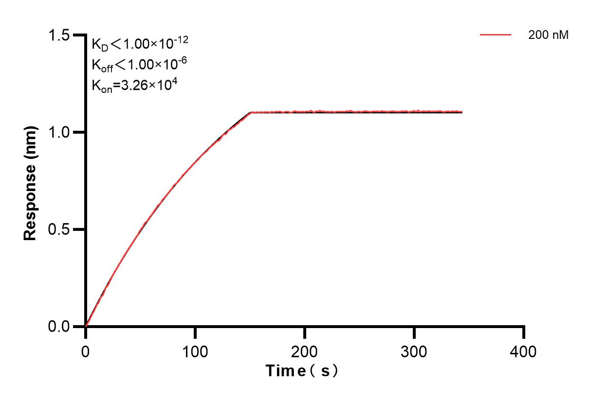 Biolayer interferometry (BLl) kinetic assay of 86840-2-PBS against Human TOM70 were performed. The affinity constant is below 1 pM. Affinity of 86840-2-PBS