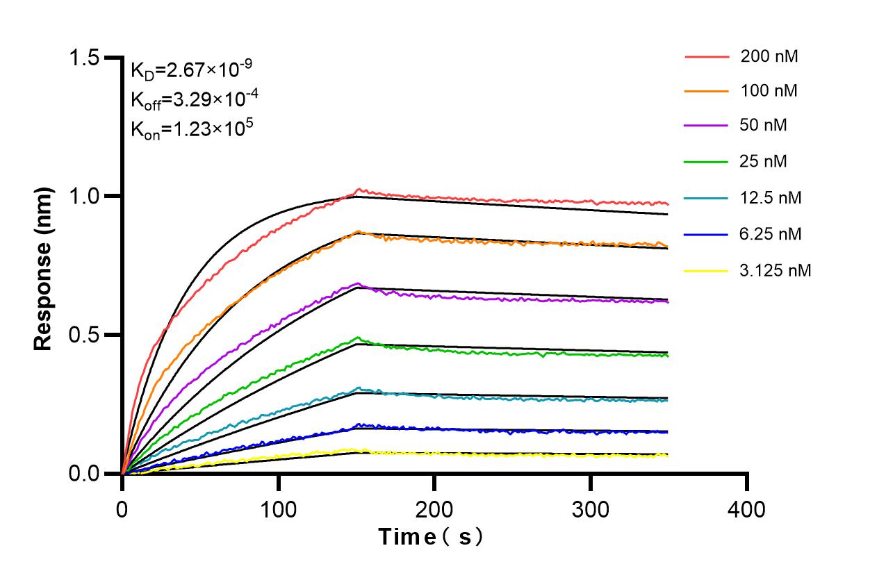 Affinity and Kinetic Characterization of 86840-3-RR