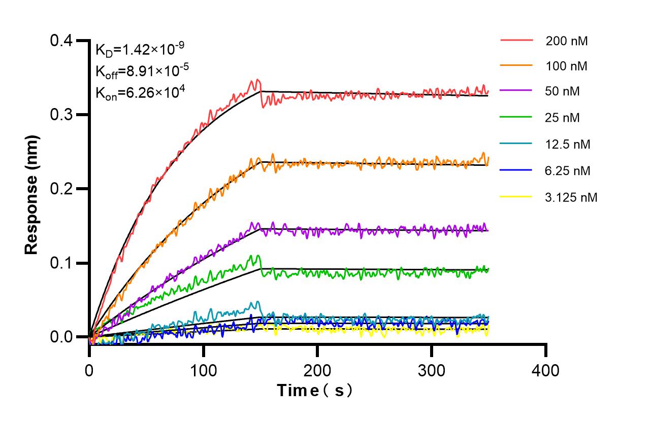 Affinity and Kinetic Characterization of 86850-1-RR