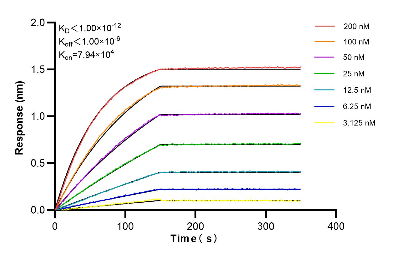 Affinity and Kinetic Characterization of 86856-3-RR