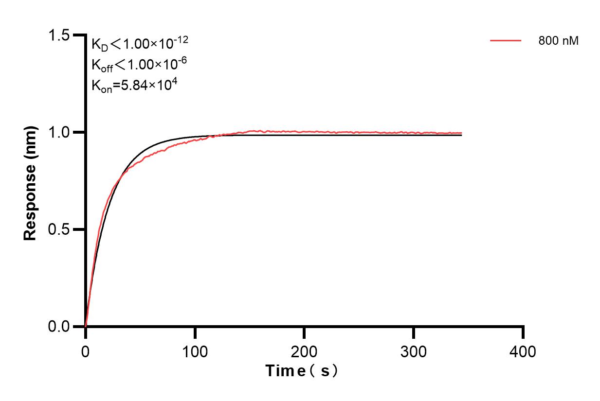 Affinity of 86872-1-PBS