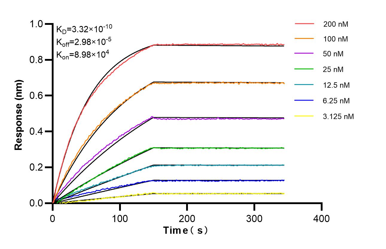 Affinity of 86877-1-RR